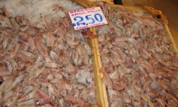Προστατευόμενα είδη θαλασσινών εδέσματα σε μεγάλα εστιατόρια