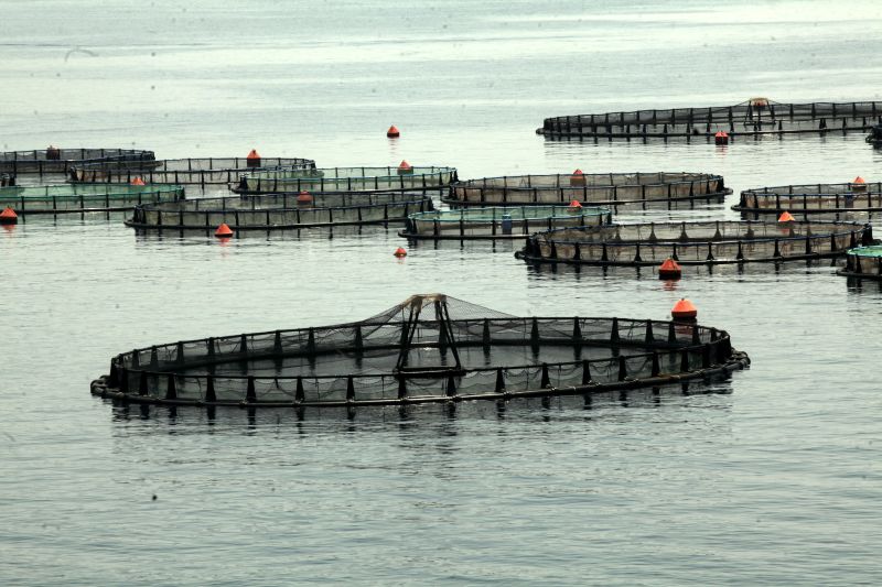 Μέτρα 118 εκατ. ευρώ για την αλιεία και τις υδατοκαλλιέργειες