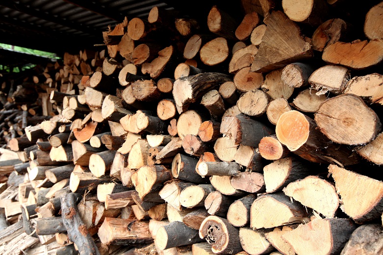 Στη μισή τιμή τα ξύλα φέτος για τους κατοίκους βουνών και ορεινών περιοχών