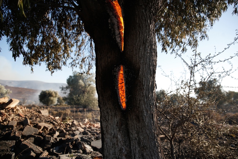 Φωτιά μια ανάσα από την Κνωσσό