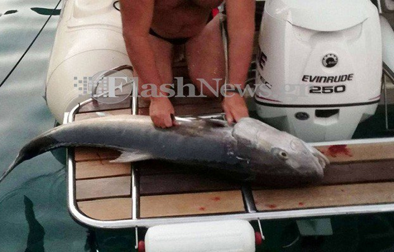 Χανιώτης σήκωσε ψάρι 30 κιλά από το βυθό στο Λουτρό Σφακίων