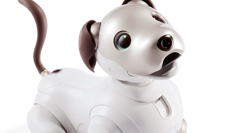 Απέκτησε το ρομποτικό σκύλο της Sony δίνοντας 1.500 ευρώ
