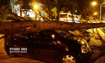 Θυελλώδεις άνεμοι στο Ναύπλιο ξερίζωσαν δέντρα -Καταστροφές σε ΙΧ