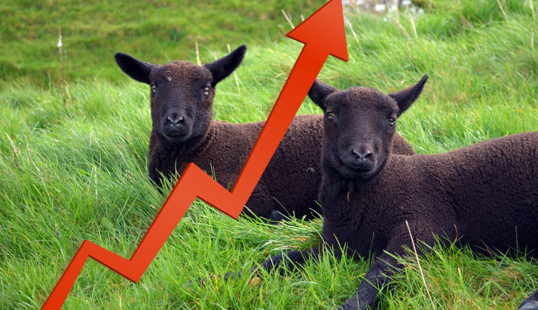 Θυσιάστε τα δύο μαύρα πρόβατα, η τρελή συνταγή της «επιτυχίας» στο Forbes 500
