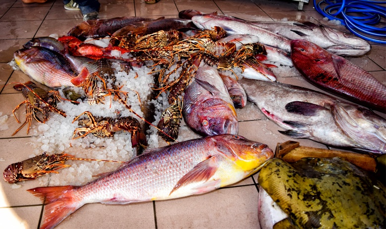 Εφοριακοί πήγαν να κόψουν πρόστιμο 500 ευρώ σε ψαρά για την πλαστική σακούλα