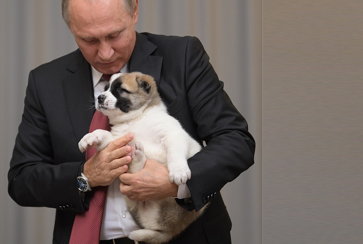 Ένα κουτάβι αλλά τι… κουτάβι πήρε δώρο για τα γενέθλια του ο Πούτιν