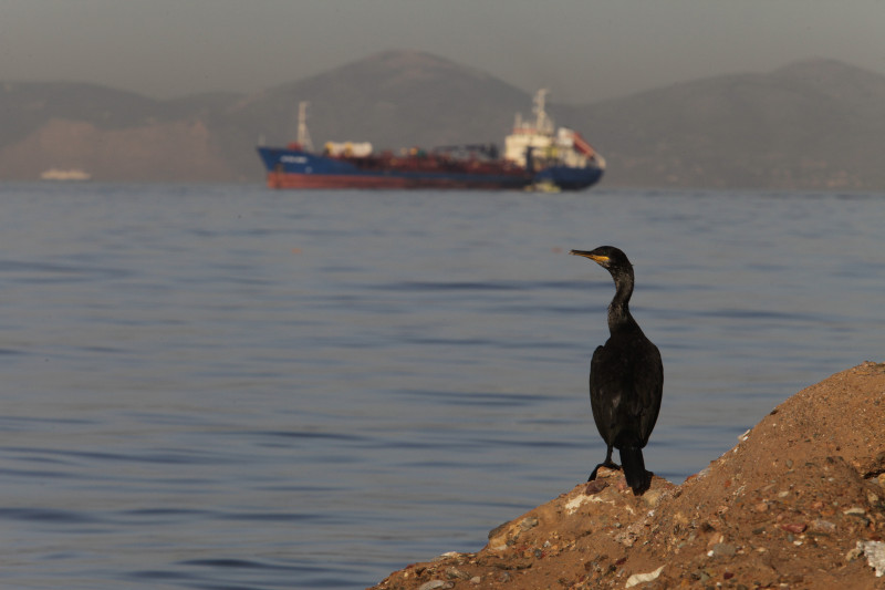 Γιατί αποσύρεται το πλοίο που αντλούσε καύσιμα από το «Αγία Ζώνη ΙΙ»