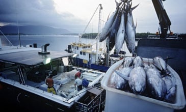 Συνεχίζεται η διαμάχη Βρετανίας-Γαλλίας για την αλιεία