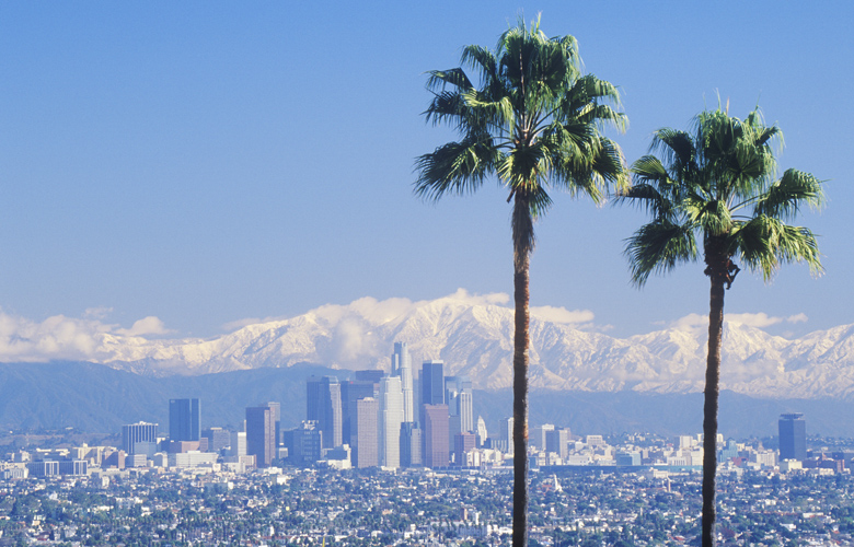 Οι φοίνικες σύμβολο του Λος Άντζελες πεθαίνουν