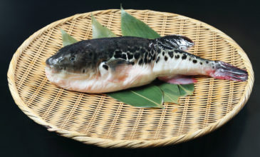 Πανικός από δηλητηριώδες ψάρι για σούσι στα σούπερ μάρκετ