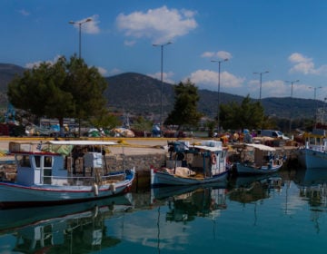 Νέα Αρτάκη, η δεύτερη μεγαλύτερη πόλη της Εύβοιας