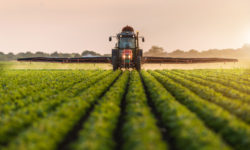 Bιολογικές καλλιέργειες: 490 εκατ. ευρώ σε νέο πρόγραμμα – Ποιοι είναι οι δικαιούχοι