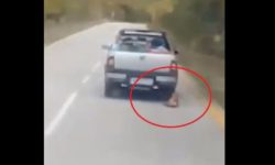 Έσερνε σκύλο δεμένο πίσω από αγροτικό – Η αστυνομία αναζητά τον οδηγό