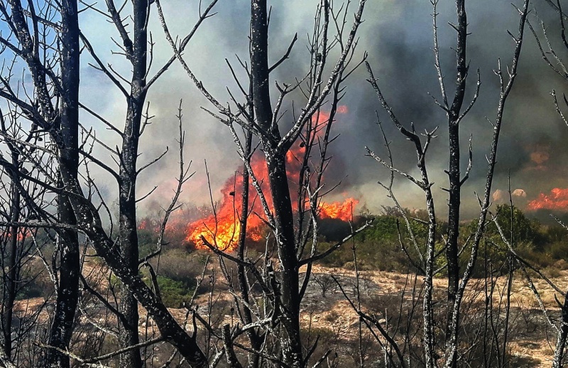 Νέα πυρκαγιά μέσα σε 24 ώρες στην Πάρο