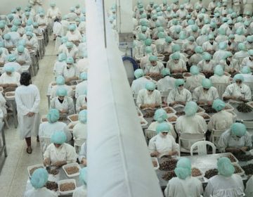Το απάνθρωπο εργοστάσιο γαρίδας όπου οι γυναίκες δεν μπορούν να μιλήσουν