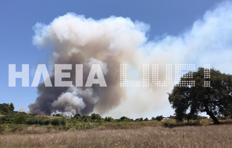 Μεγάλη πυρκαγιά στο Κρυονέρι Αμαλιάδας – Εντολή εκκένωσης της Ανάληψης