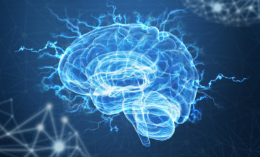 Η επίδραση του LSD στον εγκέφαλο