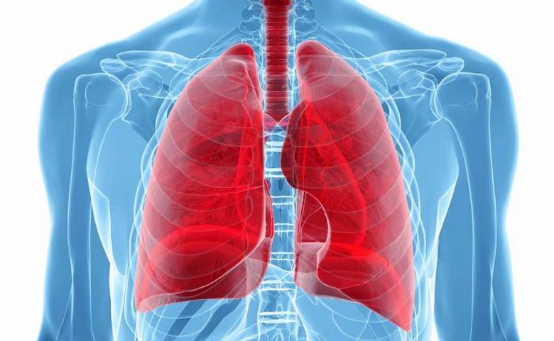 ΧΑΠ και άσθμα σκοτώνουν εκατομμύρια ανθρώπους κάθε χρόνο