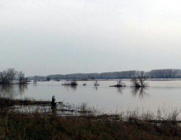 Μαρτυρία για τη «νεκρή Μαρία του Έβρου»: Πώς ένας διακινητής καθοδηγούσε από το κινητό για να σκηνοθετήσουν τον δήθεν θάνατο του παιδιού